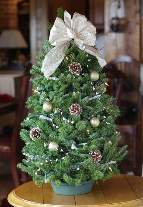 Decorative Tabletop Christmas Trees - Bob's Blogs