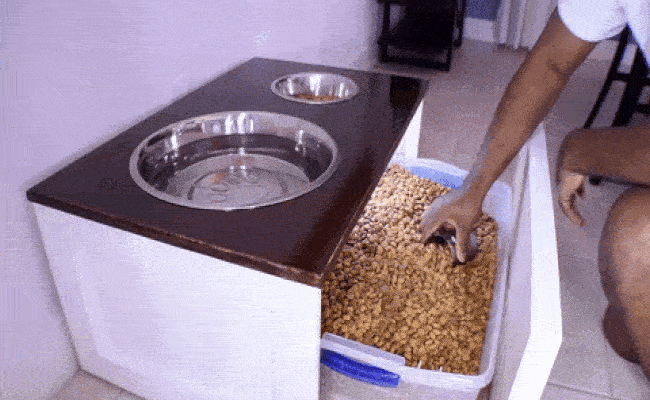 Dog Food Container Diy 60 Off