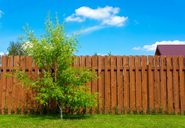 How to Stain a Fence - Bob Vila