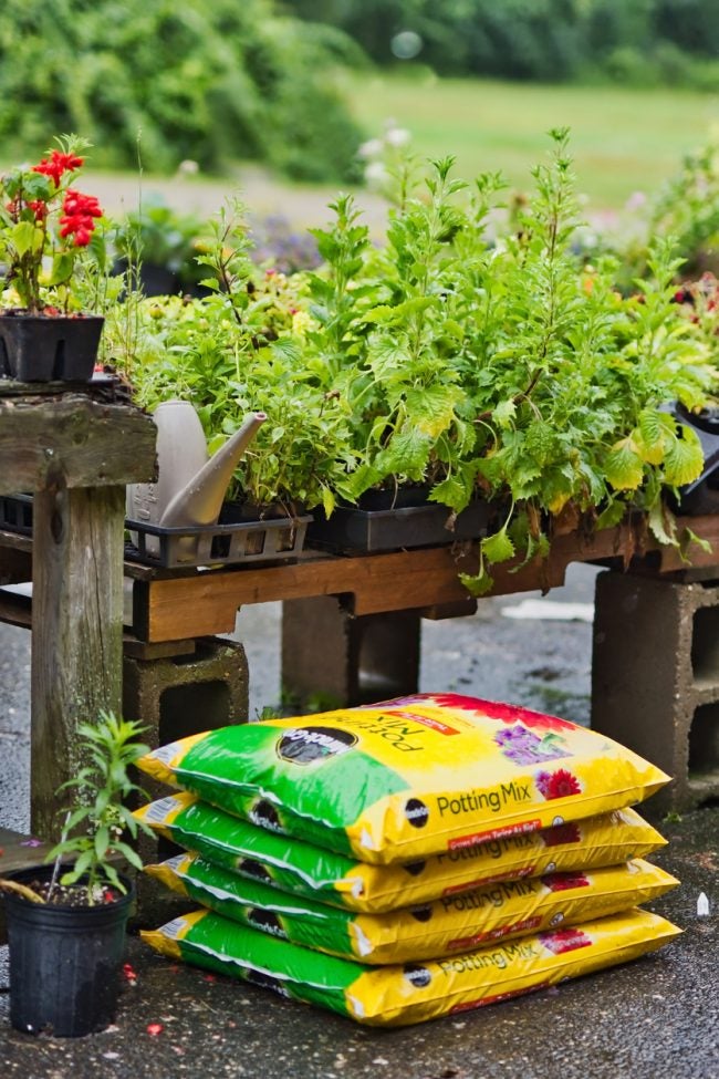 Garden Soil vs. Potting Soil: Which to Put In Your Container Garden