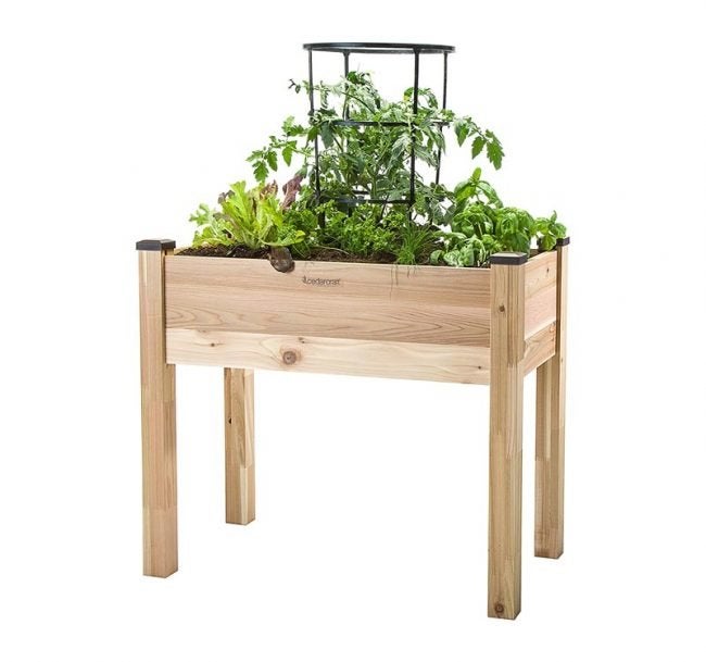 The Best Raised Garden Bed Option: CedarCraft Elevated Cedar Planter