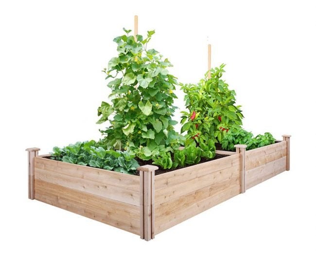 The Best Raised Garden Bed Option: Greenes Fence Cedar Raised Garden Kit