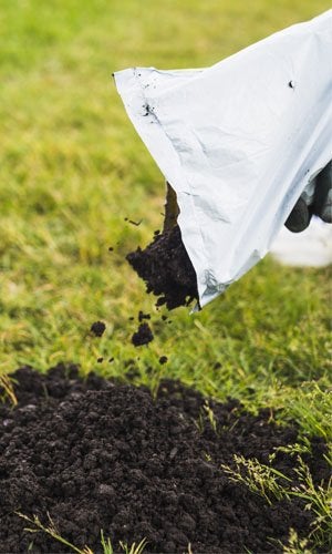 How to Use Compost Efficiently 