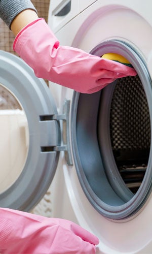 Removing Mold in Washing Machine