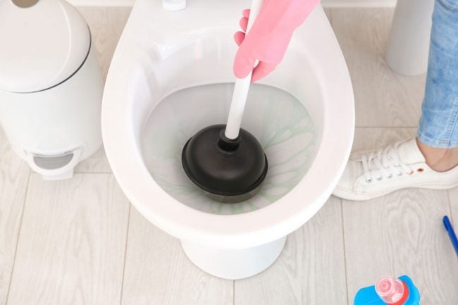 The Best Toilet Plunger Options