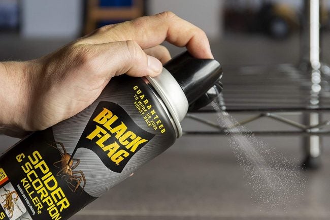 The Best Spider Killers for DIY Pest Control