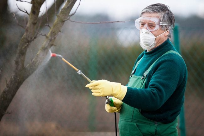 When to Spray Fruit Trees: Dormant Spray in Late Winter