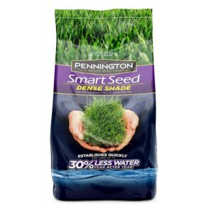 The Best Grass Seed Options: Pennington Smart Seed Dense Shade