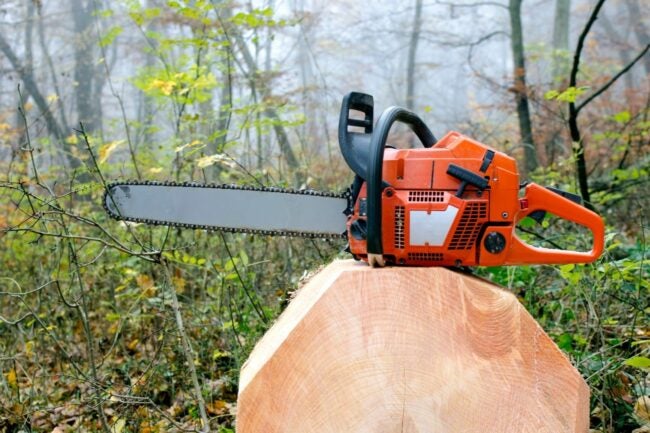 The Best Chainsaw Chain Option