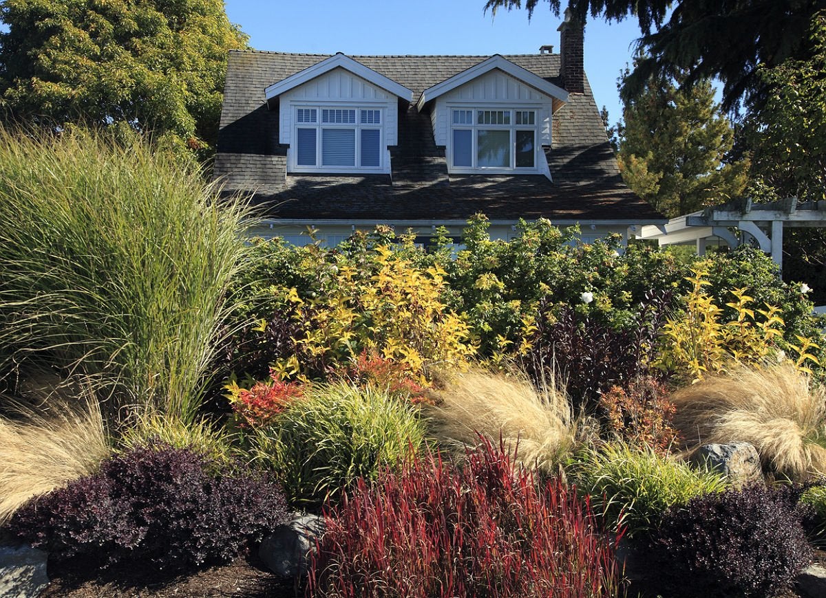 15 Ornamental Grasses To Spruce Up Your Outdoor Space Bob Vila,What Does An Ionizer Do