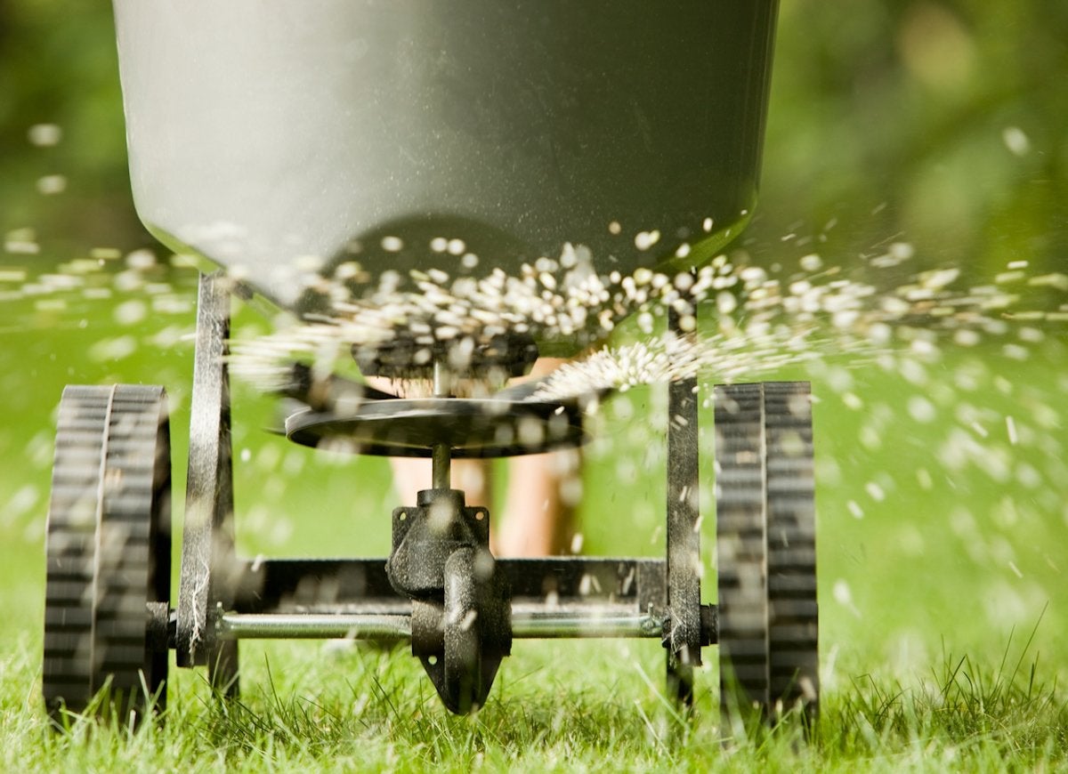 Lawn Care Tips for a Prize-Winning Yard - Bob Vila