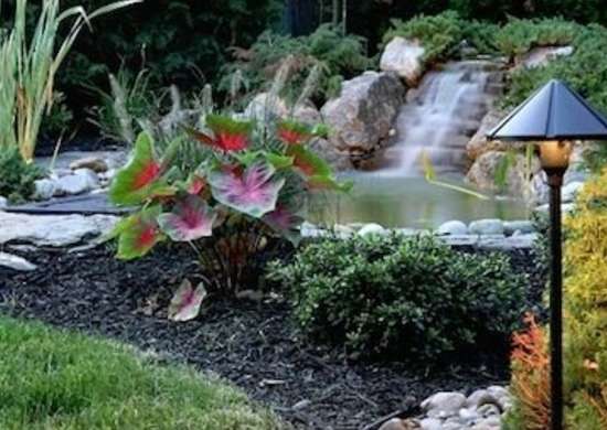 Backyard Ponds 10 Stunning Water Feature Designs Bob Vila