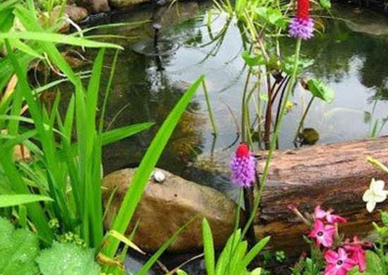 Backyard Ponds 10 Stunning Water Feature Designs Bob Vila